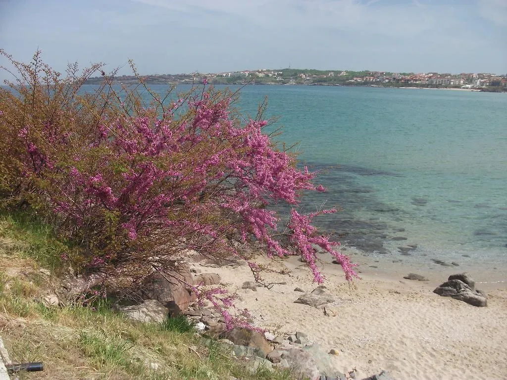 Бряг На Радостта Joy Beach Apartment Sozopol 0*,